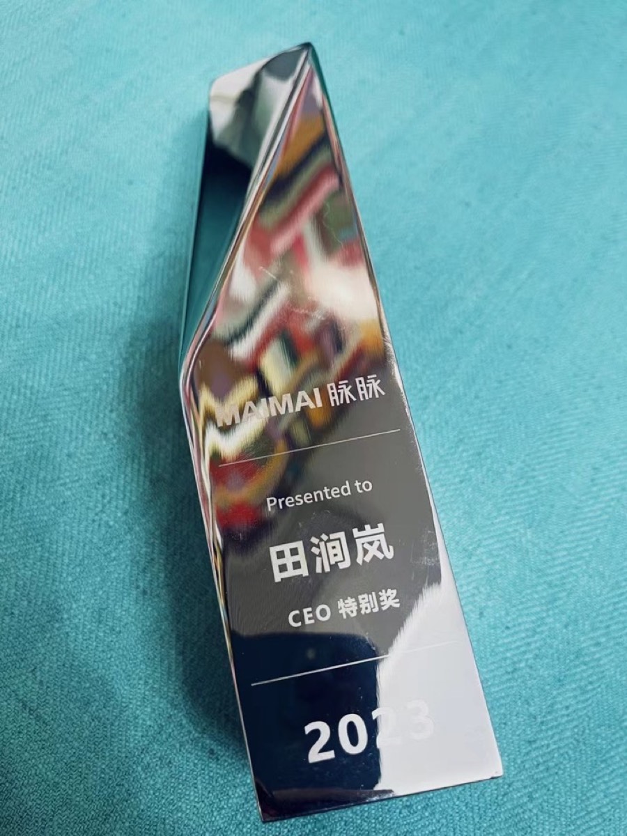 脉脉 CEO 特别奖奖杯